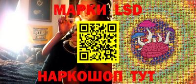 прущие крисы Ярославль
