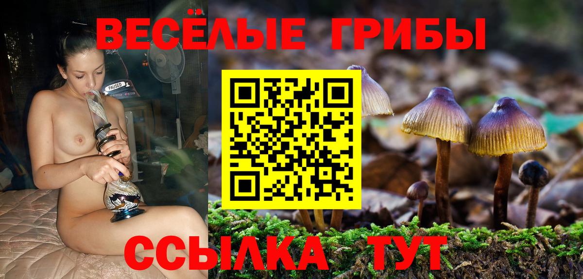 Галлюциногенные грибы GOLDEN TEACHER Подольск